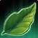 Green Tea Leaf