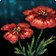 Rain Poppy